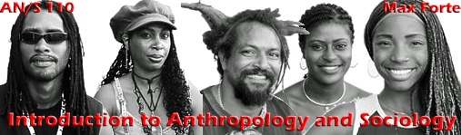 Introduction to Anthropology and Sociology by Max Forte