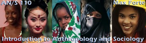 Introduction to Anthropology and Sociology by Max Forte