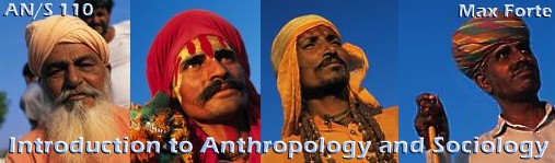 Introduction to Anthropology and Sociology by Max Forte