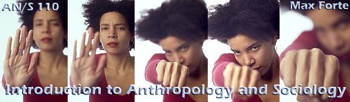 Introduction to Anthropology and Sociology by Max Forte